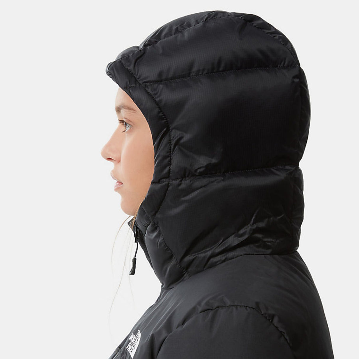 The North Face Women's Diablo Down Hoodie TNF Black / X-Small-TNF Black / Small-TNF Black / Medium-TNF Black / Large-TNF Black / X-Large #- 53 Degrees North