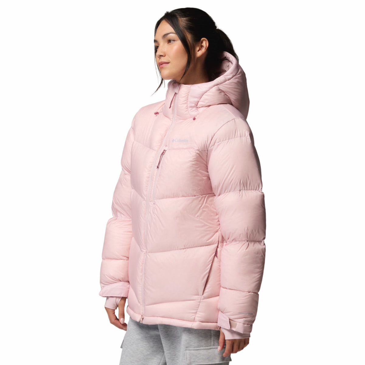 Women's Cloudview Down Hooded Jacket