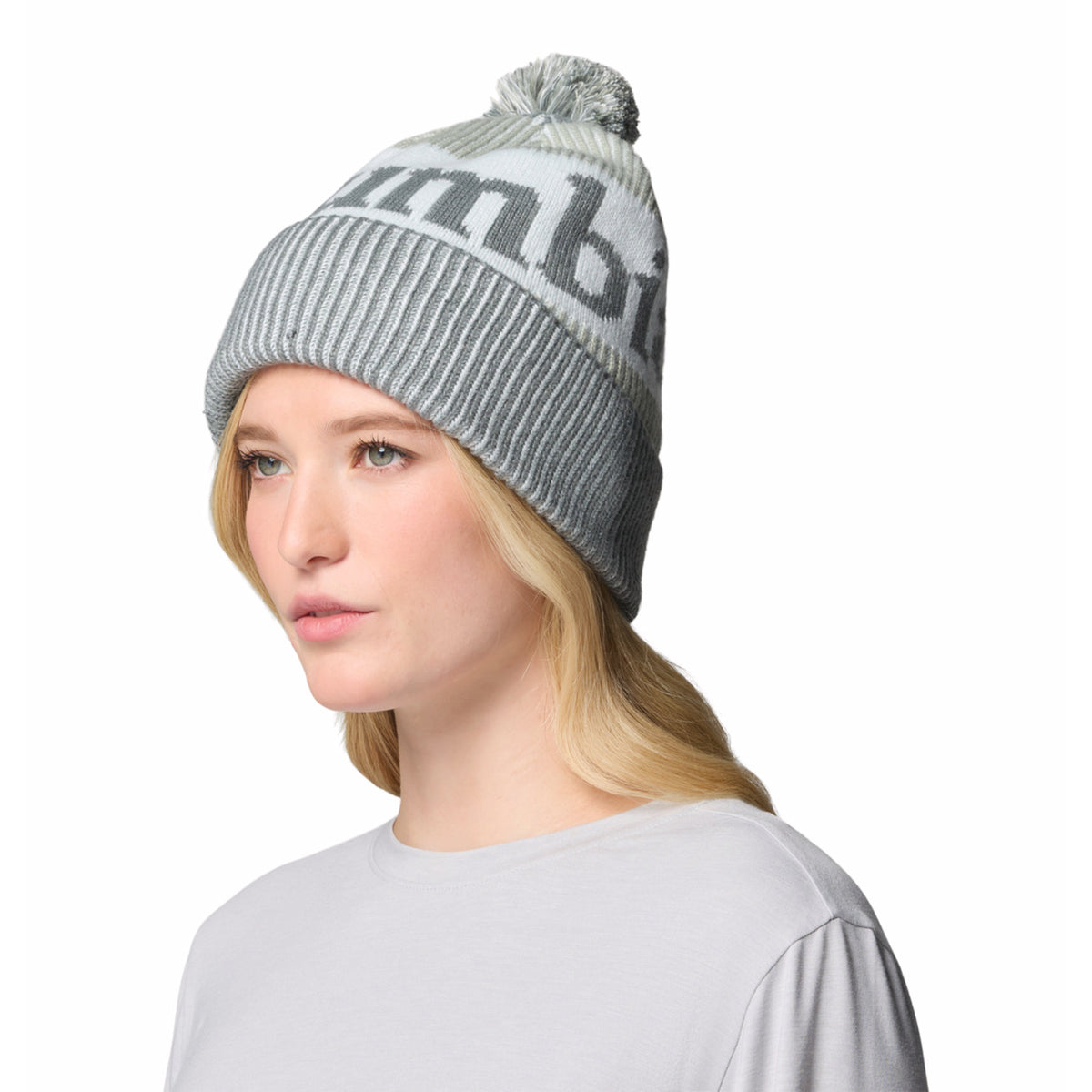 Polar Powder III Beanie