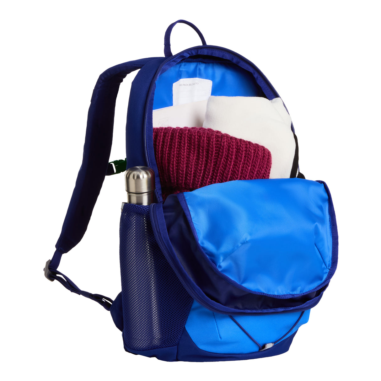 Youth Court Jester Backpack