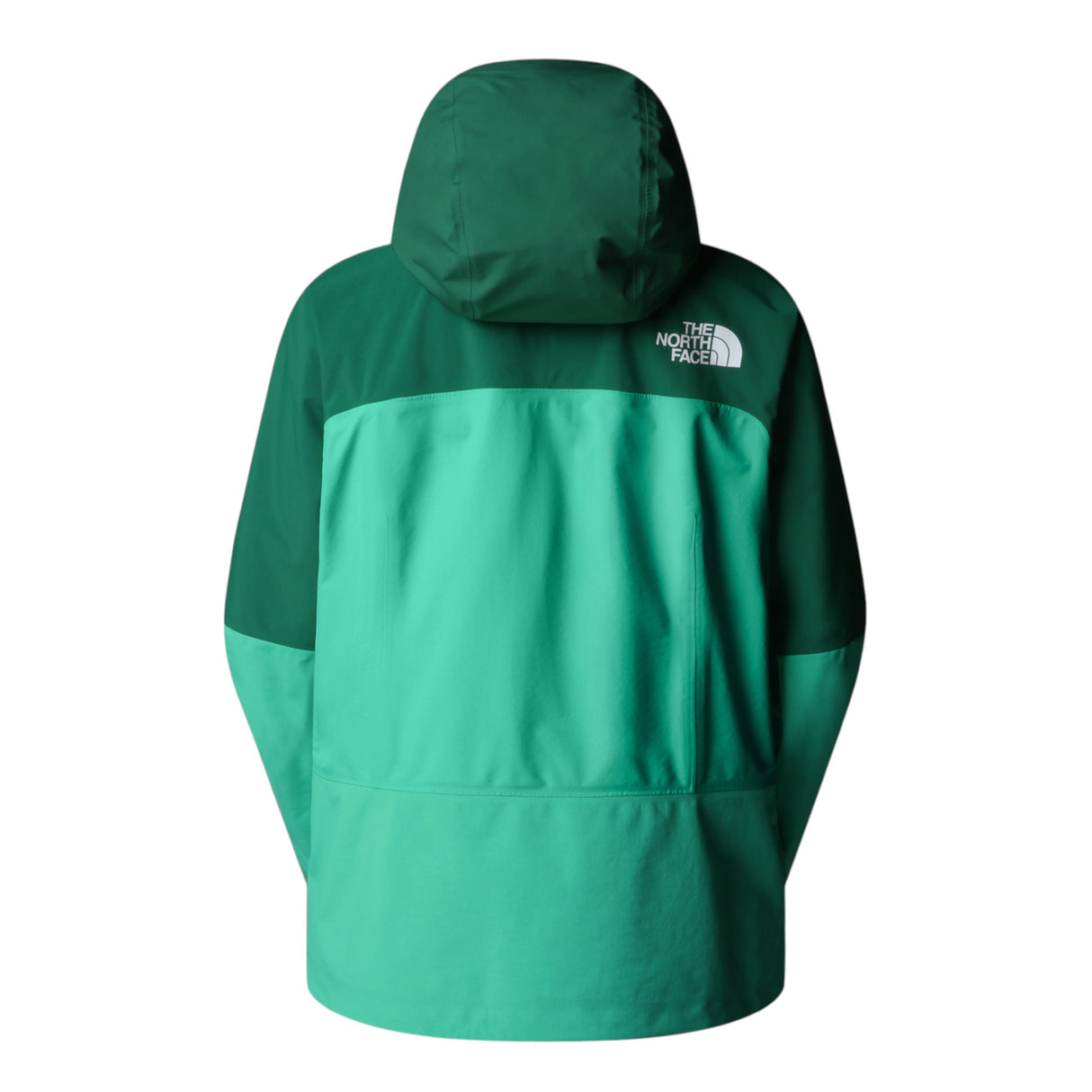 The North Face Women's Summit Futurelight Torre Egger Jacket Nebula Green/Evergreen / Small-Nebula Green/Evergreen / Medium-Nebula Green/Evergreen / Large #- 53 Degrees North