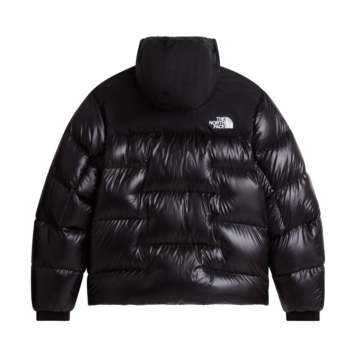 Men's Summit Nuptse Jacket