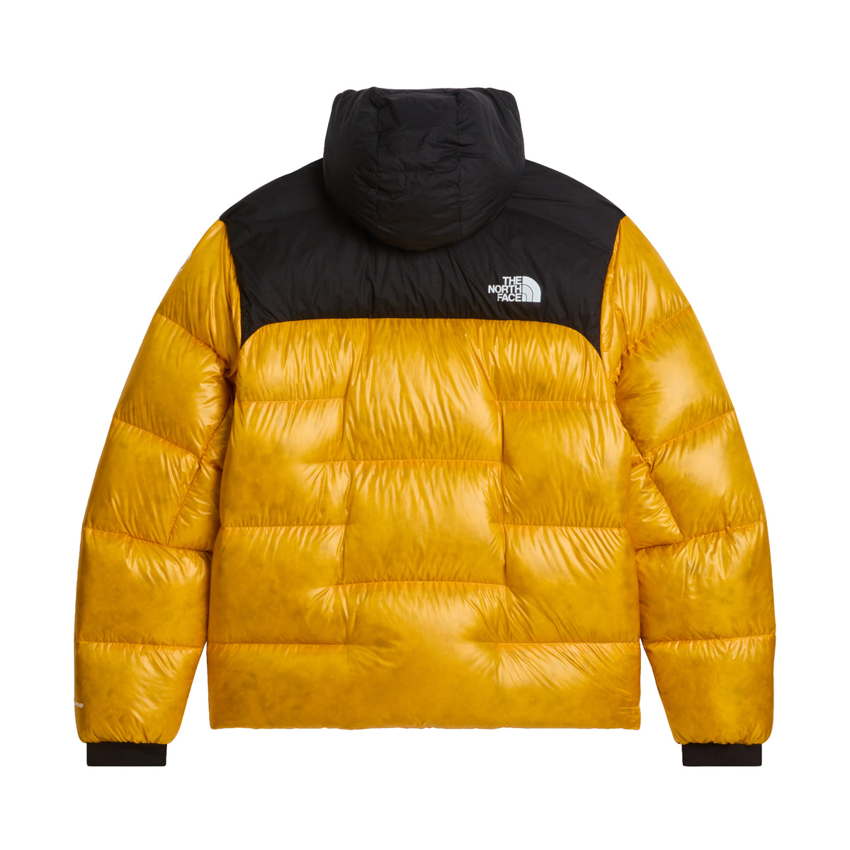 Men's Summit Nuptse Jacket