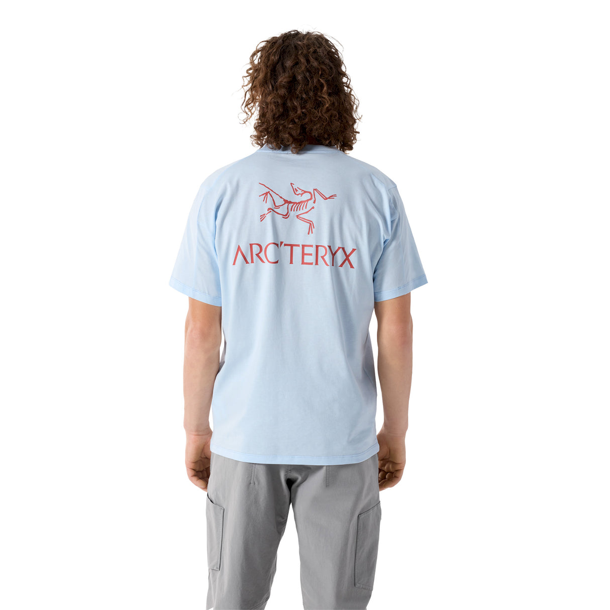 Arc'teryx Men's Kragg SL Cotton Bird Word T-Shirt Alpine Blue/Stone Red / Small-Alpine Blue/Stone Red / Medium-Alpine Blue/Stone Red / Large-Alpine Blue/Stone Red / X-Large-24K Black / Small - 53 Degrees North