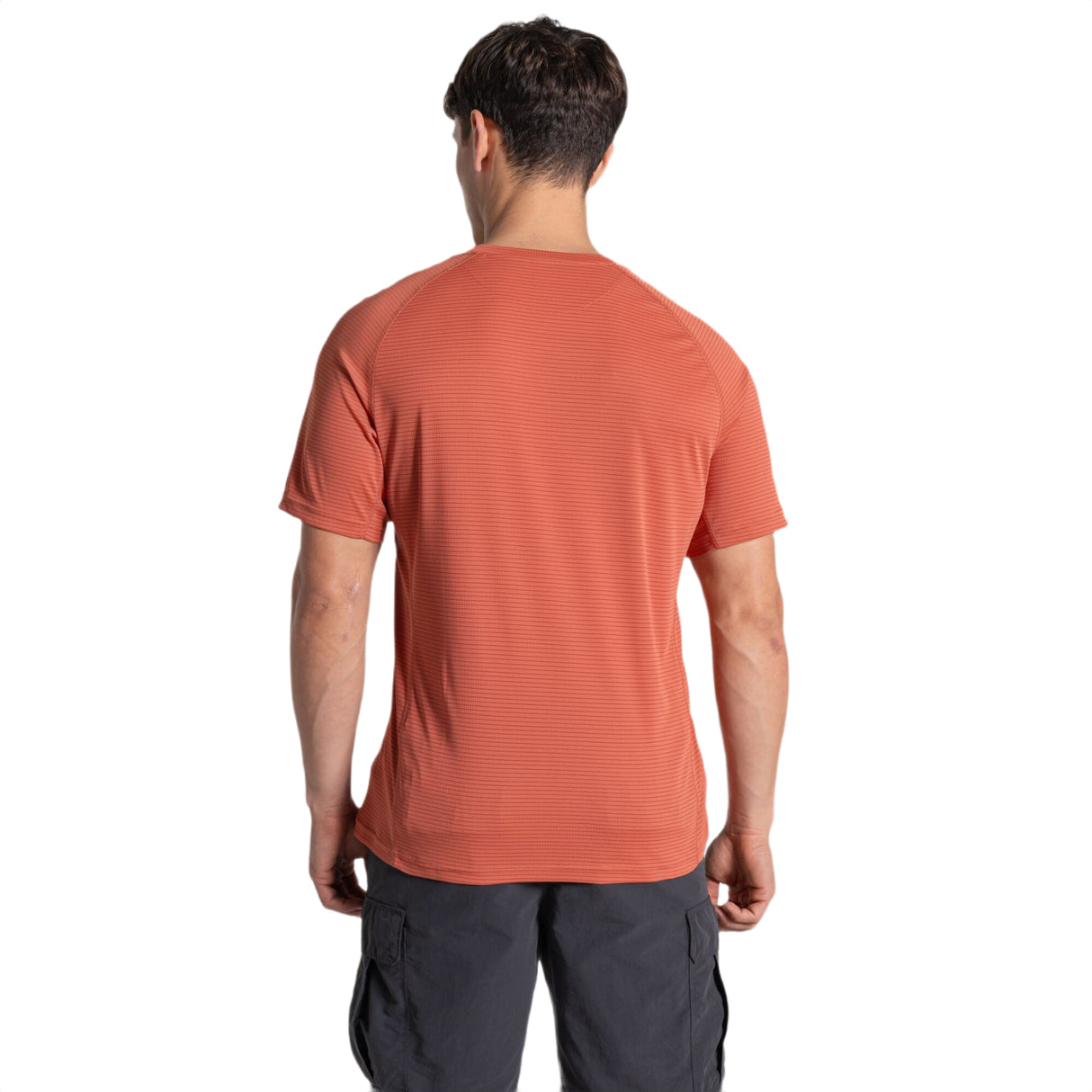 Craghoppers Men's Nosilife Solarshield+ T-Shirt Dark Sahara / Small-Dark Sahara / Medium-Dark Sahara / Large-Dark Sahara / X-Large-Azure Sky / Small - 53 Degrees North