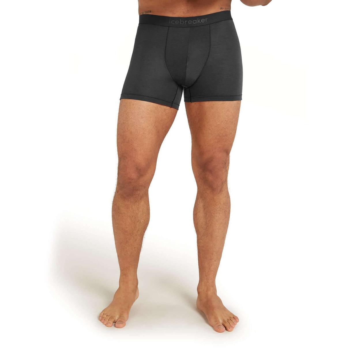 Icebreaker Men's Merino 150 Anatomica Boxers Atlantis / Small-Atlantis / Medium-Atlantis / Large-Atlantis / X-Large-Atlantis / XX-Large - 53 Degrees North