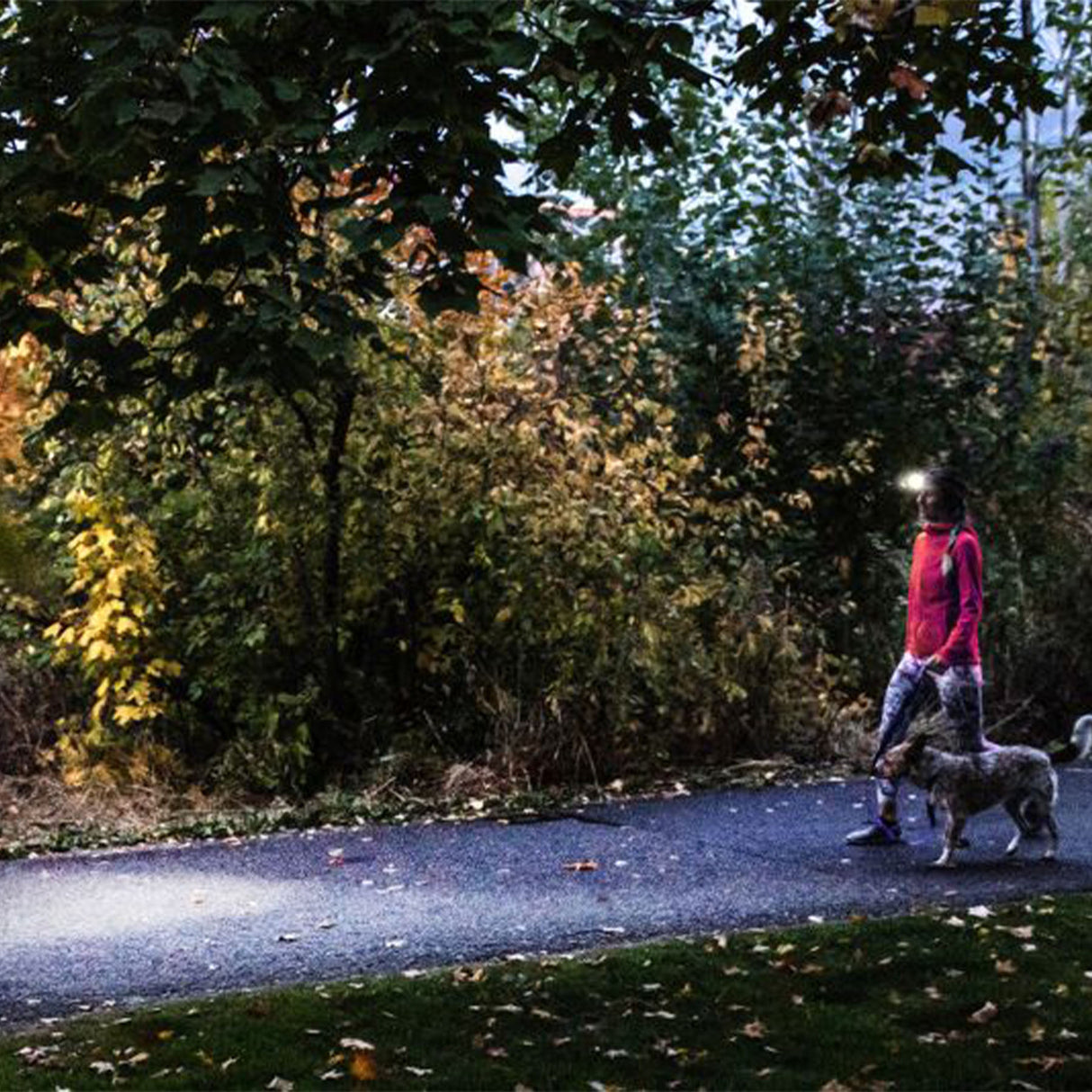 Ledlenser HF4R Core Rechargeable Headtorch Teal-Red-Blue-Black - 53 Degrees North