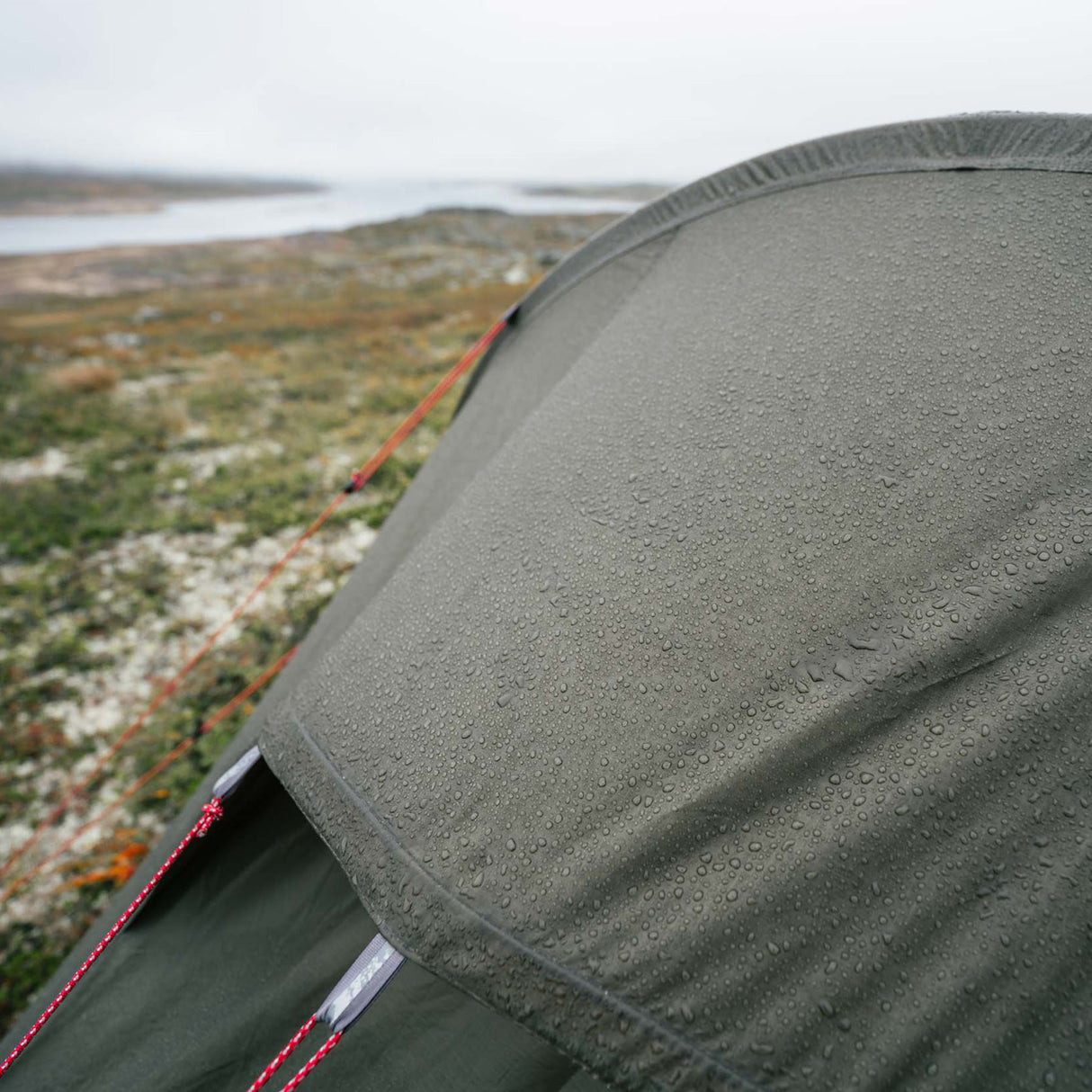 MSR Tindheim 2 - 2 Person Backpacking Tunnel Tent Green - 53 Degrees North