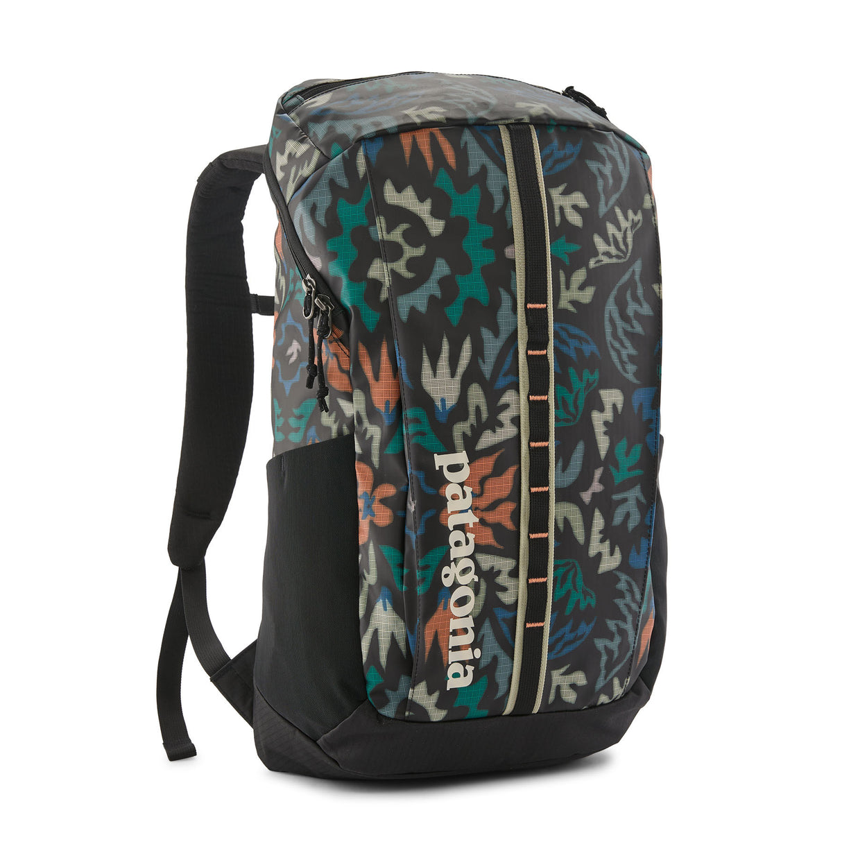 Patagonia Black Hole Backpack - 25L Kaleido/Black-Black/Black-Brisk Purple-Smolder Blue - 53 Degrees North