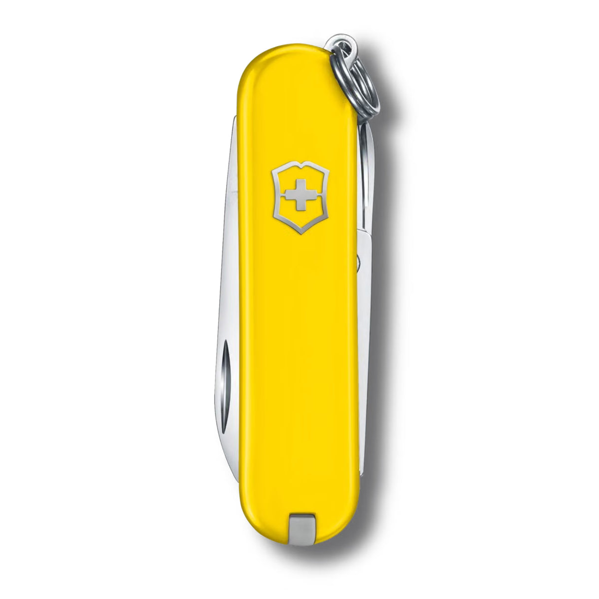 Classic Yellow Sunnyside