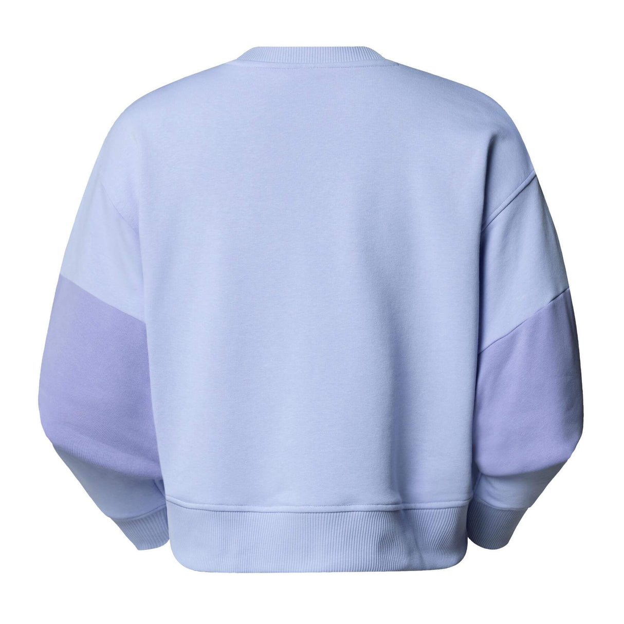 The North Face Women's Terry Oversized Cropped Crew Purple Mint / X-Small-Purple Mint / Small-Purple Mint / Medium-Purple Mint / Large - 53 Degrees North