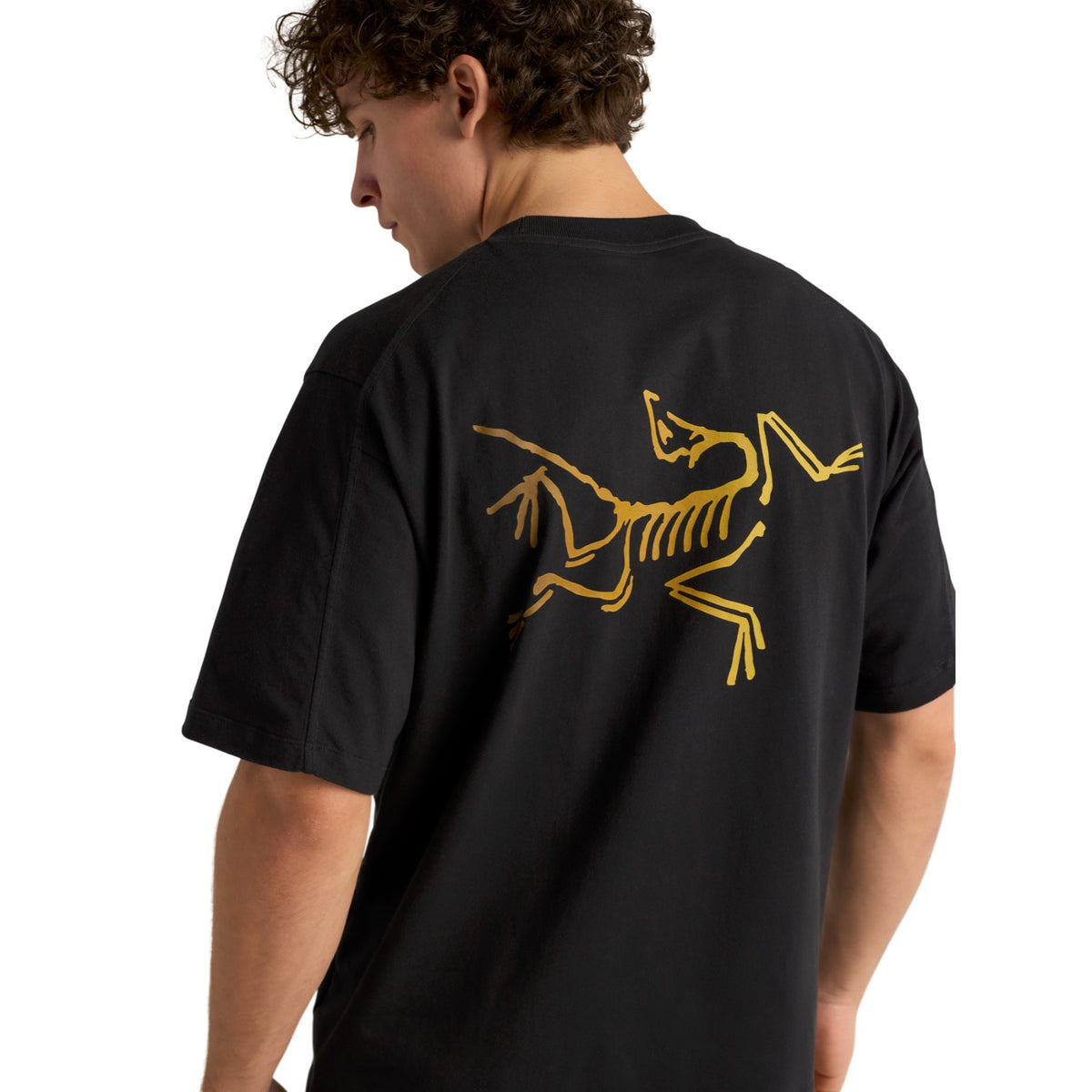 Arc'teryx Men's Kragg Cotton Logo Short Sleeve Tee 24K Black - 53 Degrees North