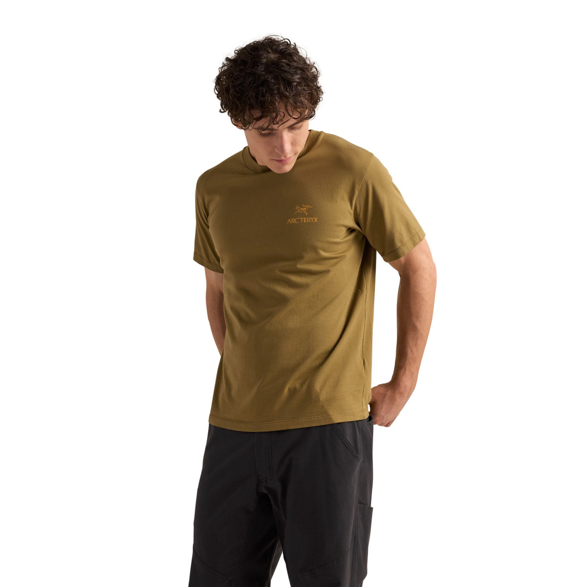 Arc'teryx Men's Kragg SL Cotton Bird Word Short Sleeve Tee Bracken/Larch - 53 Degrees North