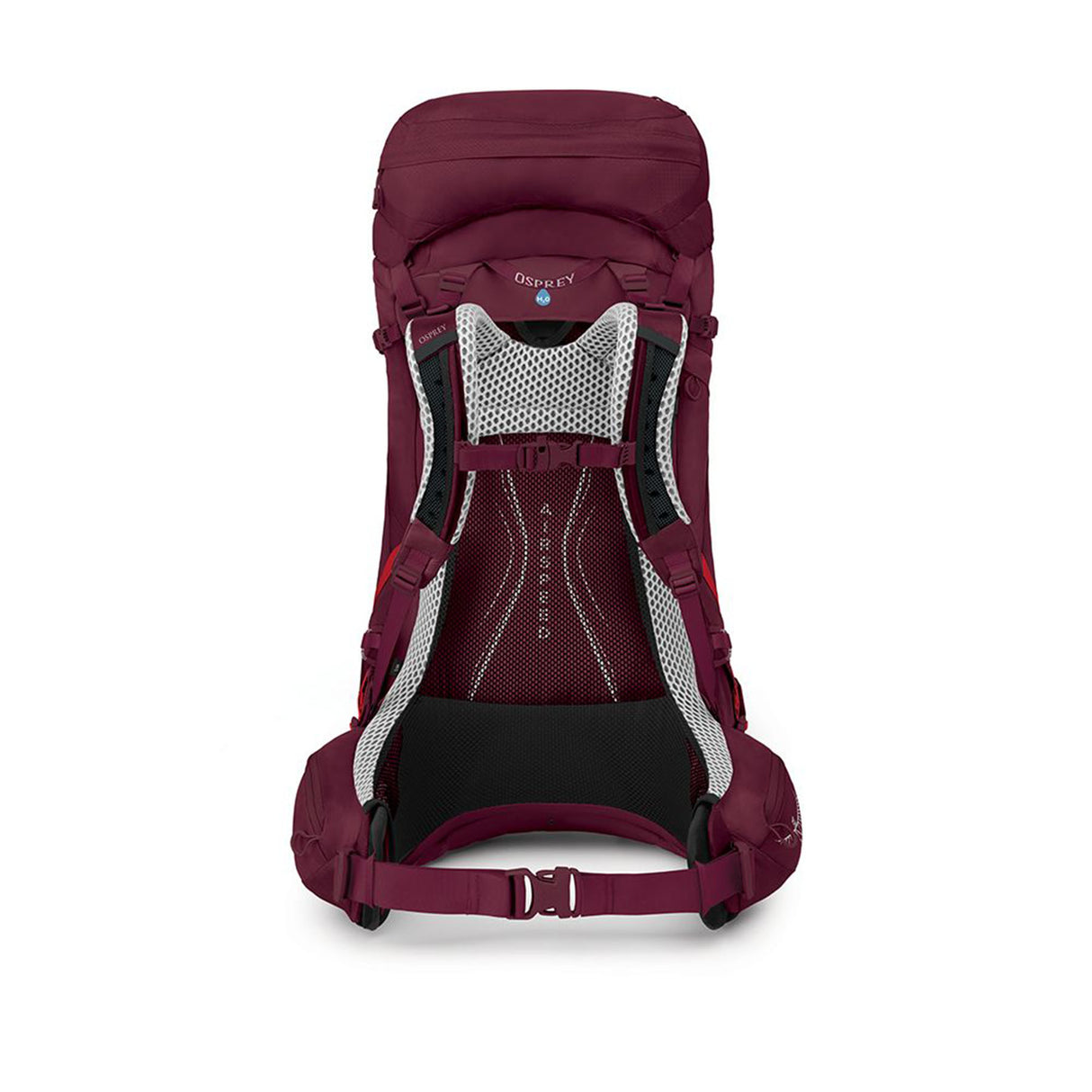 Osprey Aura AG LT 50 Backpack Antidote Purple / X-Small/Small-Antidote Purple / Medium/Large #- 53 Degrees North