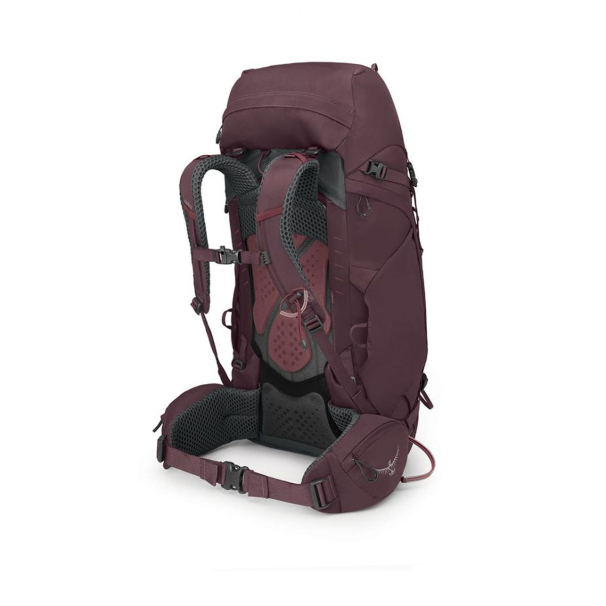 Osprey Kyte 48 Backpack Elderberry Purple / X-Small/Small-Elderberry Purple / Medium/Large #- 53 Degrees North
