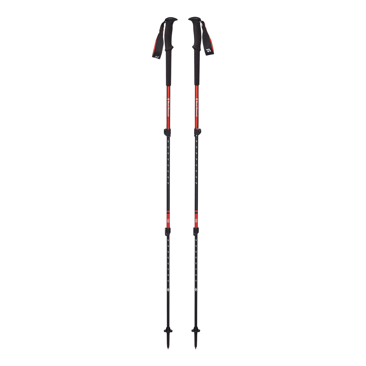 Black Diamond Trail Trekking Poles Picante - 53 Degrees North