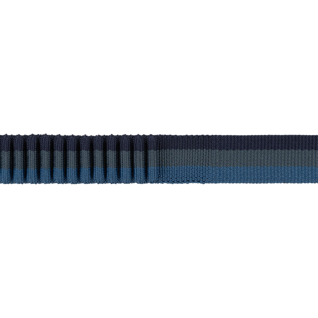 Ruffwear Roamer Bungee Dog Leash #color_orion-blue