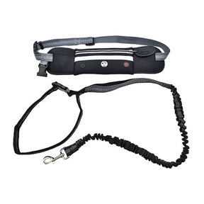 Six Peaks LED Dog Lead Running Belt Black #- 53 Degrees North 