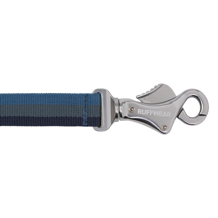 Ruffwear Roamer Bungee Dog Leash #color_orion-blue