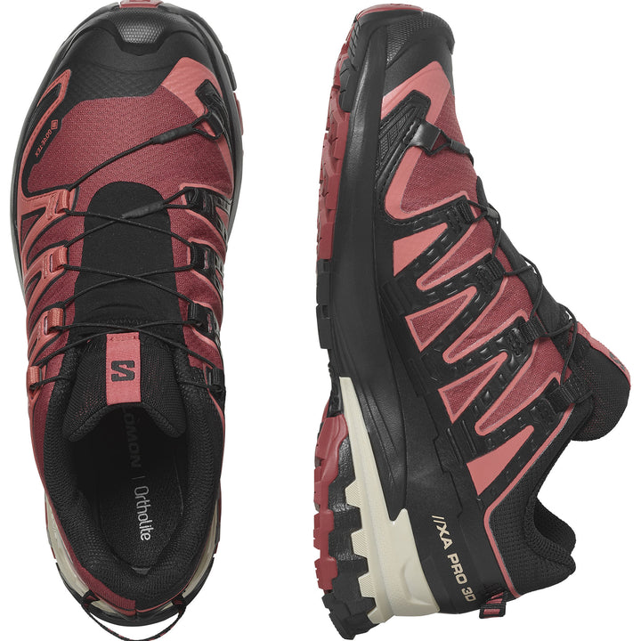 Salomon Women's XA Pro 3D V9 Gore-Tex Trail Runners #color_cow-hide-black-faded-rose