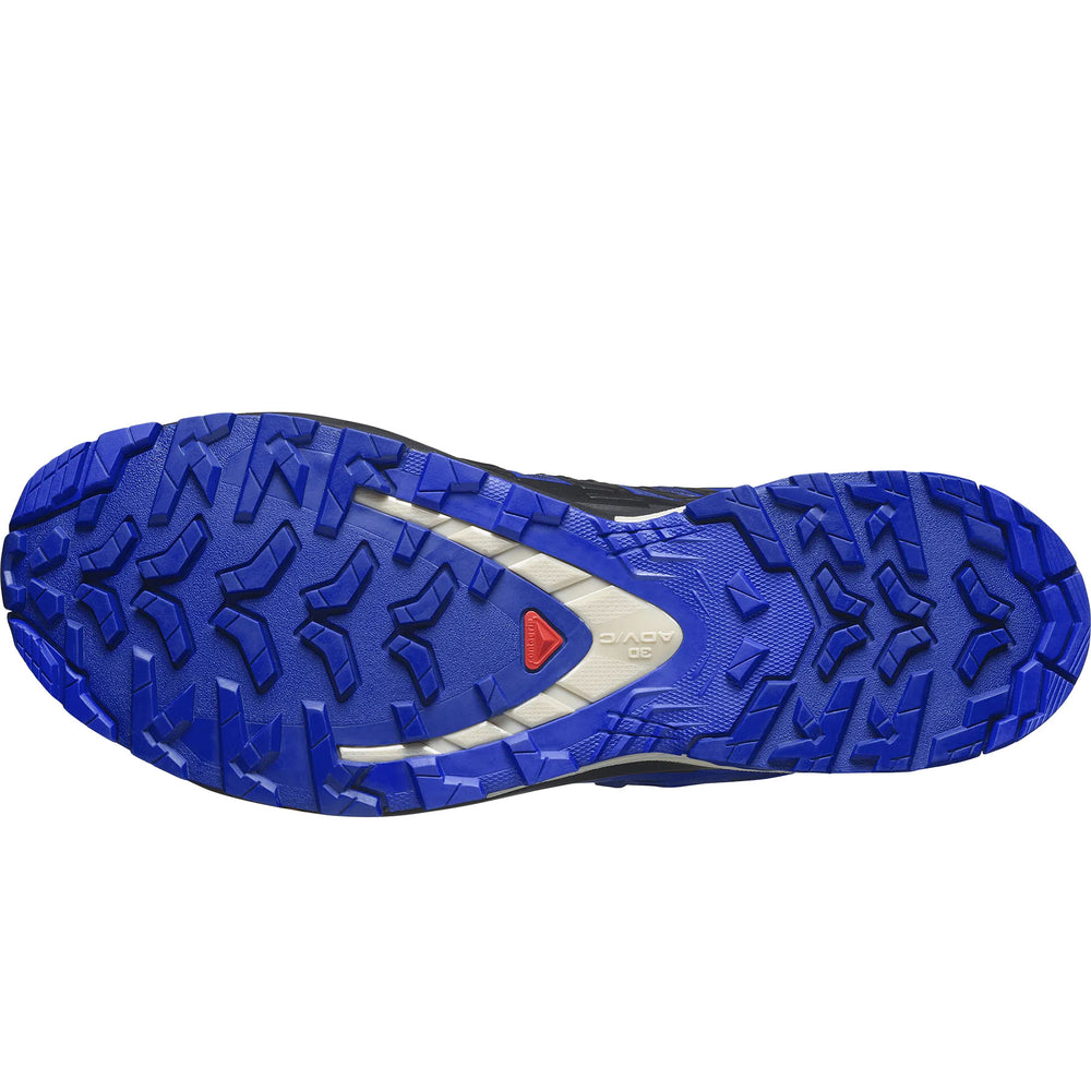 Salomon Men's XA Pro 3D V9 Gore-Tex Trail Running Shoes #color_blue-print-surf-the-web-lapis