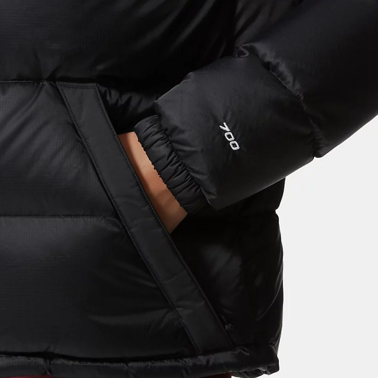 The North Face Women's Diablo Down Hoodie TNF Black / X-Small-TNF Black / Small-TNF Black / Medium-TNF Black / Large-TNF Black / X-Large #- 53 Degrees North 