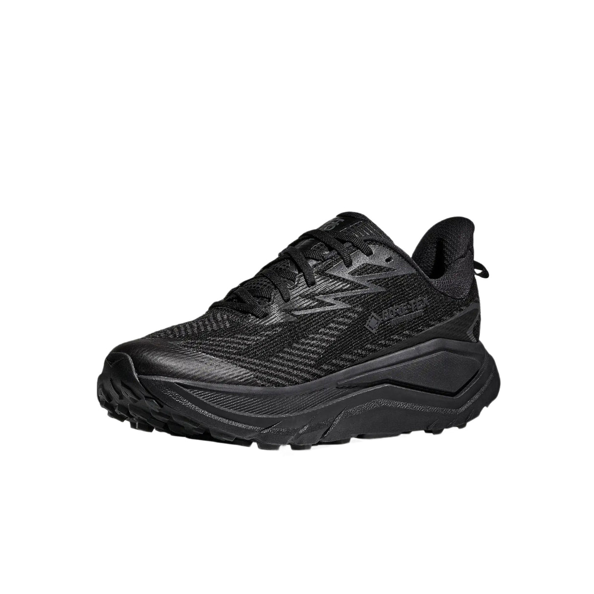 Men's Challenger 8 GORE-TEX Waterproof Shoes