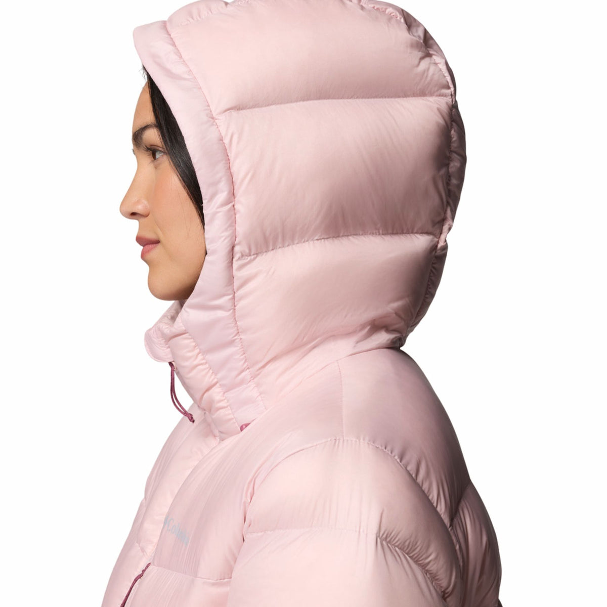 Women's Cloudview Down Hooded Jacket
