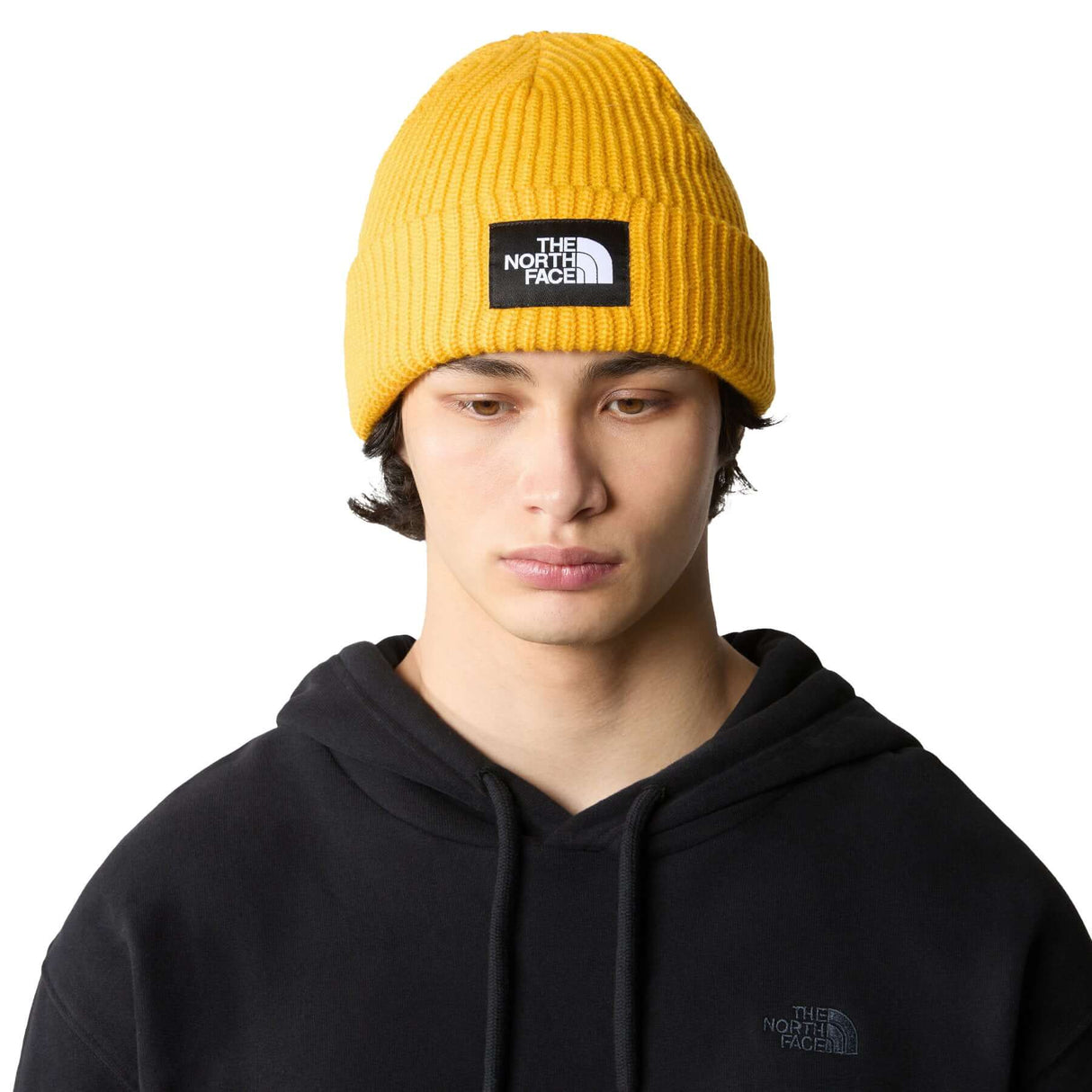 The North Face Salty Lined Beanie Slate Moss-Space-Summit Gold-TNF Black #- 53 Degrees North 