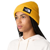The North Face Salty Lined Beanie Slate Moss-Space-Summit Gold-TNF Black #- 53 Degrees North 