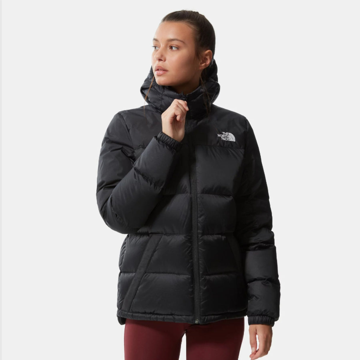 The North Face Women's Diablo Down Hoodie TNF Black / X-Small-TNF Black / Small-TNF Black / Medium-TNF Black / Large-TNF Black / X-Large #- 53 Degrees North 