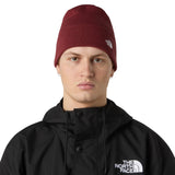 The North Face Norm Beanie Bark Mist-Sumac-Summit Navy-TNF Black-Beetroot #- 53 Degrees North 