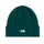 The North Face Norm Beanie in Hunter Green