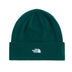 The North Face Norm Beanie in Hunter Green