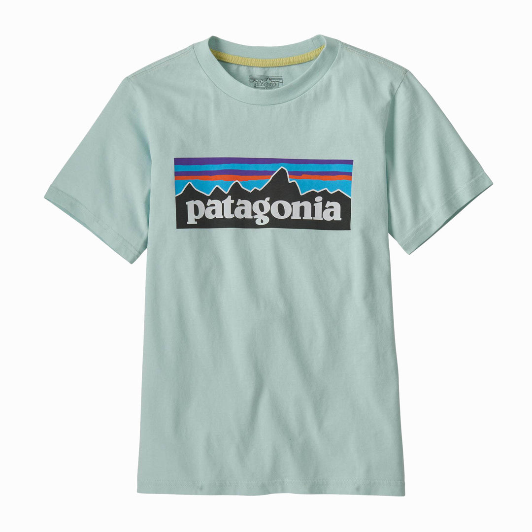 Patagonia Kid's P-6 Logo T-Shirt #color_wispy-green