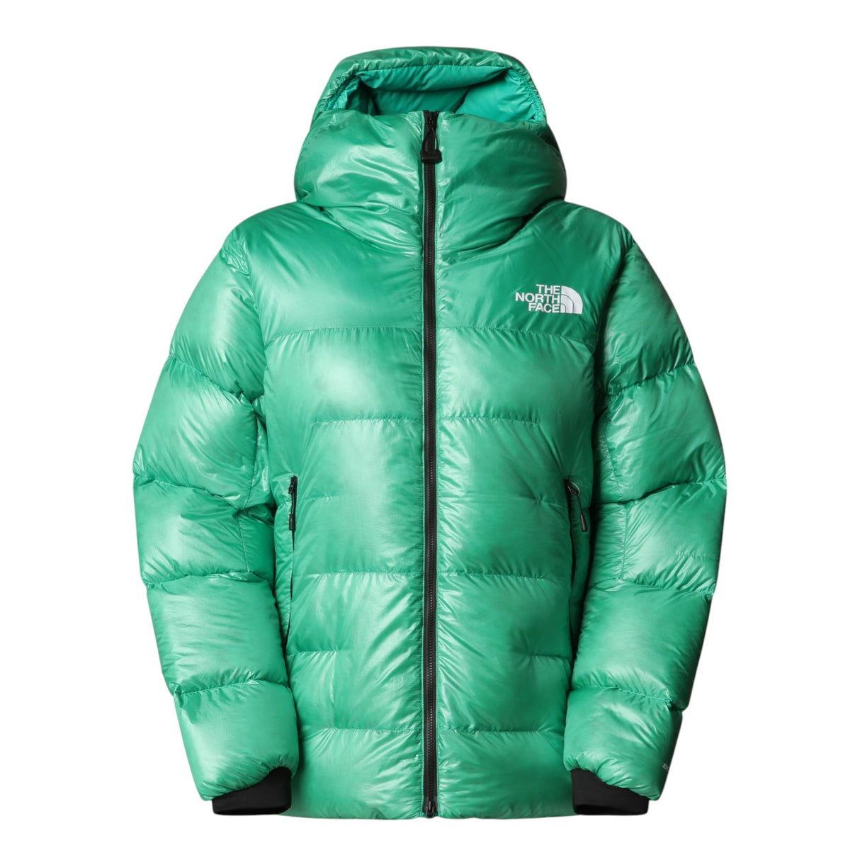 The North Face Women's Summit Pumori Down Parka Nebula Green / Small-Nebula Green / Medium-Nebula Green / Large #- 53 Degrees North 