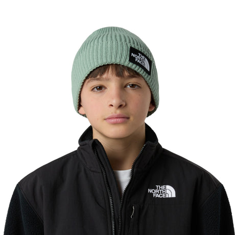 The North Face Kids' TNF Logo Box Cuffed Beanie Slate Moss-Meridian Blue/Nuptse Bear Patch-TNF Black #- 53 Degrees North 
