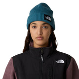The North Face Salty Lined Beanie Slate Moss-Space-Summit Gold-TNF Black #- 53 Degrees North 