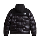 Men's Summit Nuptse Jacket