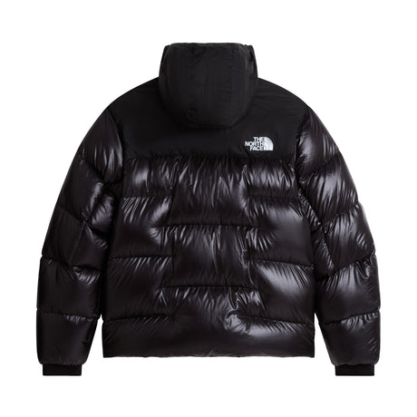 The North Face Men's Summit Nuptse Jacket