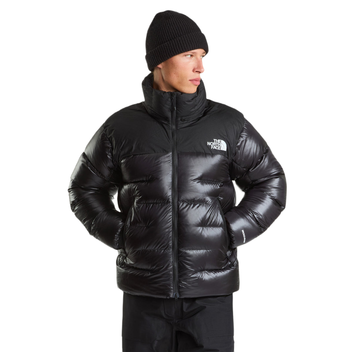 Men's Summit Nuptse Jacket