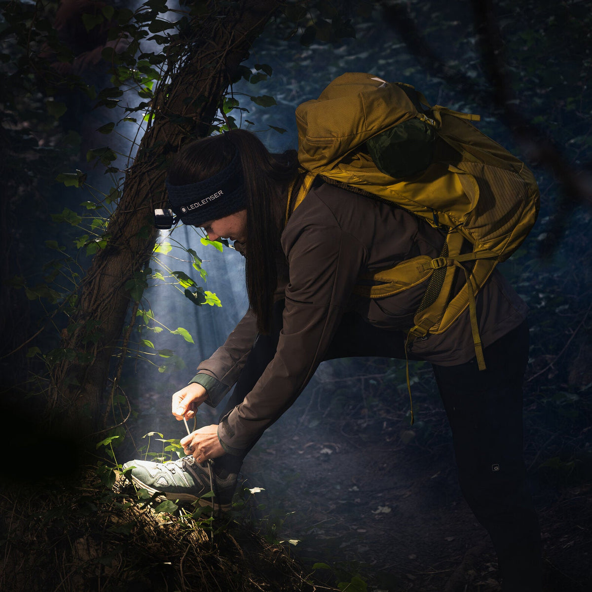 Ledlenser HF6R Rechargeable Headtorch Black - 53 Degrees North