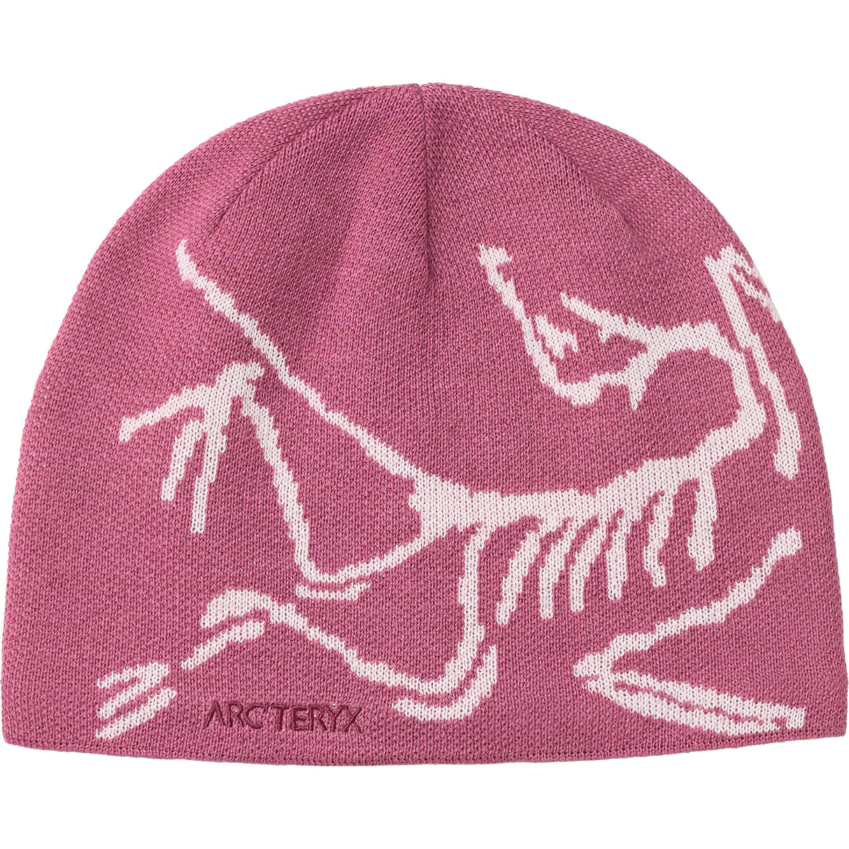 Arc'teryx Bird Head Toque Sea Salt/Kasumi - 53 Degrees North