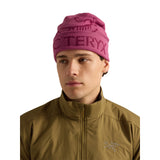 Arc'teryx Bird Word Toque Mongoose/Sea Salt - 53 Degrees North