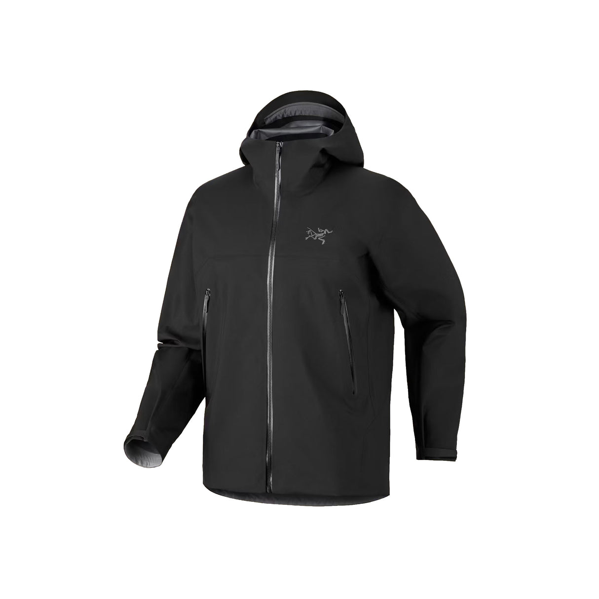 Arc'teryx Men's Beta GORE-TEX Waterproof Jacket Black / Small - 53 Degrees North