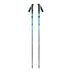 Black Diamond Distance Carbon FLZ Walking Poles Desert Sky / 110 cm - 53 Degrees North