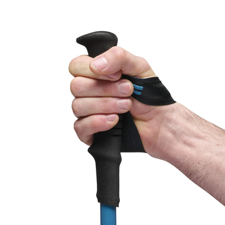 Black Diamond Distance Carbon FLZ Walking Poles Desert Sky / 110 cm - 53 Degrees North