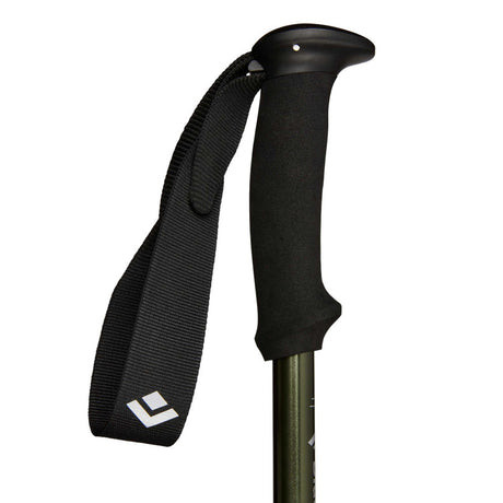 Black Diamond Explorer 3 Trekking Poles Tundra - 53 Degrees North 