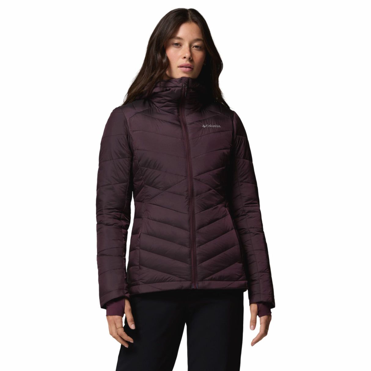 Columbia Women's Joy Peak II Hooded Jacket Moonvista Shine / X-Small - 53 Degrees North