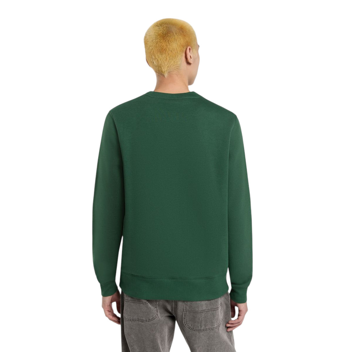 Dickies Men's Oakport Sweatshirt Black / Small-Black / Medium-Black / Large-Black / X-Large-Pine Needle Green / Small #- 53 Degrees North 